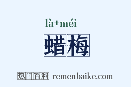 蜡梅是什么意思的图片